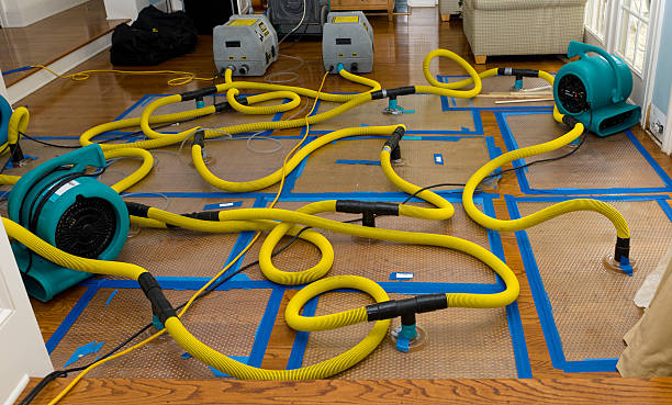 Professional Water Damage Restoration technician working in Maywood, NJ